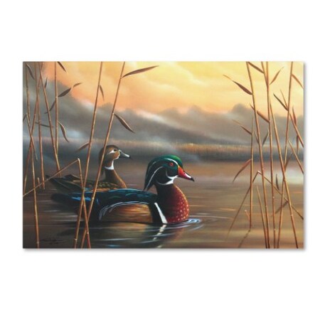 Trademark Fine Art Geno Peoples 'Wood Ducks' Canvas Art, 12x19 ALI19568-C1219GG